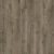 Oyster Oak