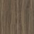 Cinnamon Walnut